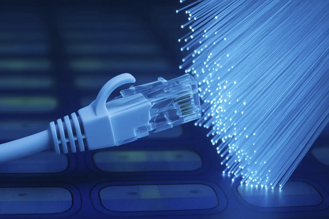Fibra óptica y conector